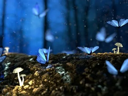 Peaceful Sleep: Heart Chakra Healing