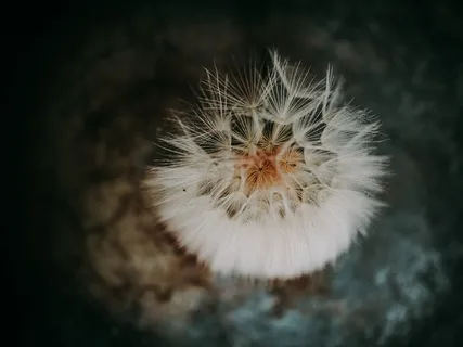  Open Heart To Loving Kindness With Theta waves