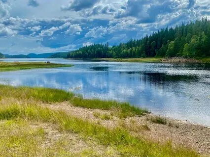 Open Landscape In Sight