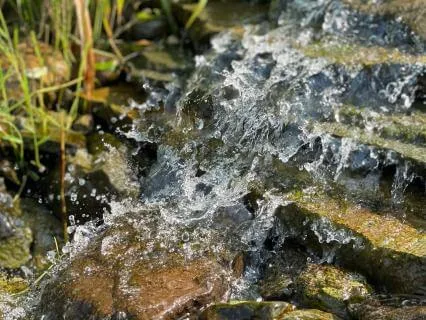 Open Like Water | A Sound Healing Meditation for the Heart