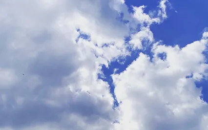 Open Meditation For A Beginner's Mind