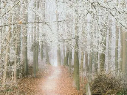 Open Path – 8 Minute Meditation