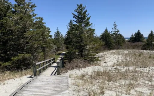 Open Soft Heart Body And Mind