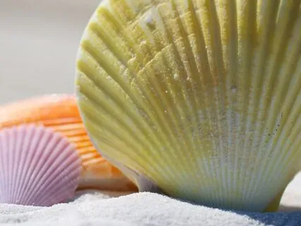 Open The Flow | Call In Money, Magic And Success