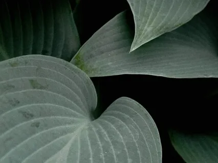 Open The Heart Chakra Of You And Your Business To Receive