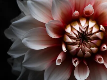 Open To Beauty To Soothe Suffering