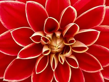 Open To Divine Love With Your Spiritual Heart