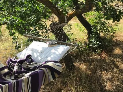 Open To Love: Heart Chakra Sleep Meditation