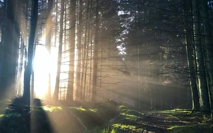 Open To Possibilities