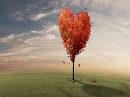 Open To Receive Love More Deeply