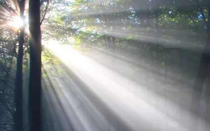 Open To The Energy Of Enthusiasm, Joy, And Love