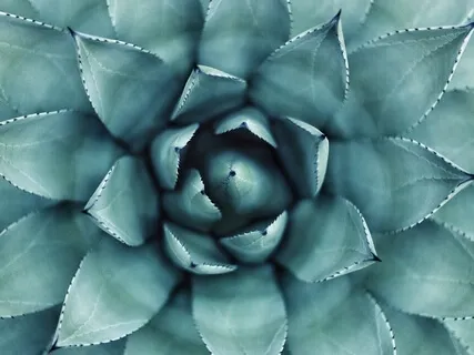 Open To The Totality Of You