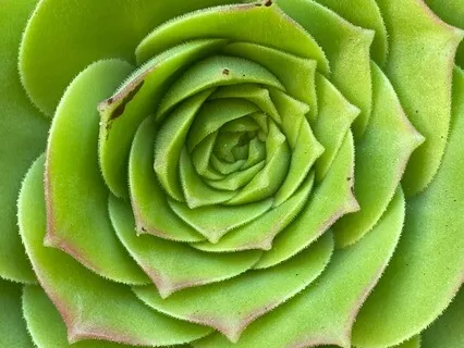 Open To Your Potential