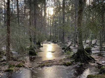 Open Your Crown And Receive