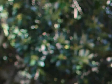 Open Your Eye And Gain Insight