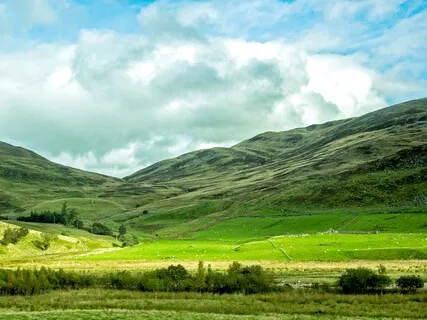 Open Your Eyes To Beauty