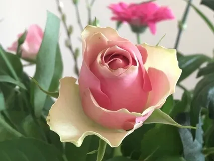 Open Your Heart And Allow More Love In