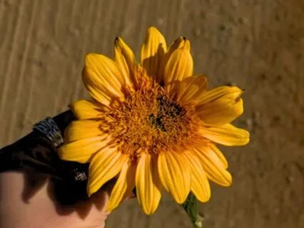 Open Your Heart And Receive