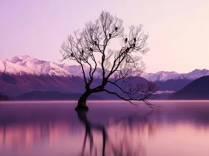 Energy Healing For The Heart