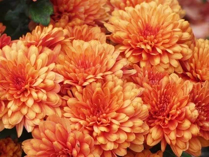 Open Your Heart For Love