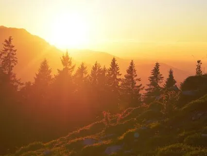 Open Your Heart Like A Flower (Sunrise Meditation)