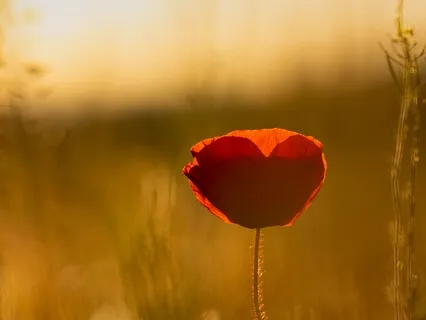 Open Your Heart Space