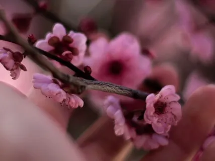 Open Your Heart To Embrace Your Life  - 10 Min Daily Insight