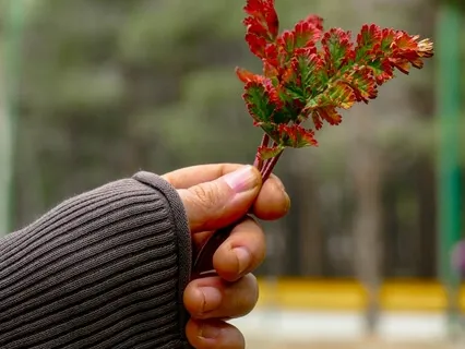 Open Your Heart To Love