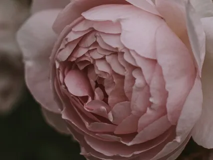 Open Your Heart To Love