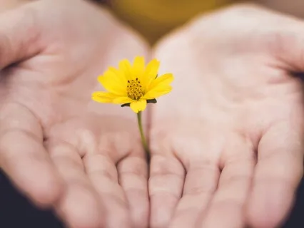 Open Your Heart With Loving Kindness