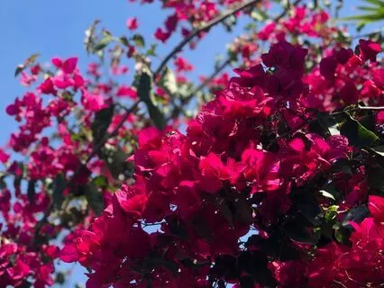 Open Your Heart With These Morning Affirmations