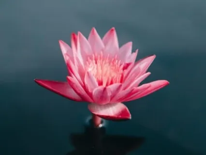 Open Your Throat Chakra