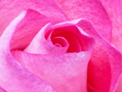 Open Yourself To Love