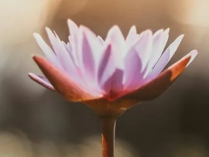 Opening And Strengthening The Throat Chakra