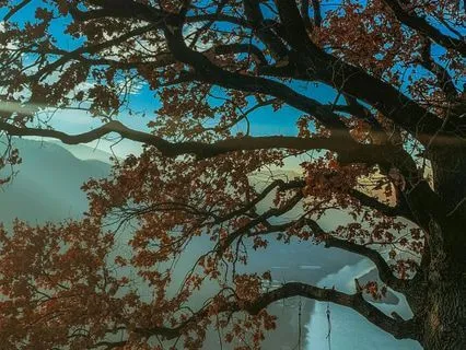 Opening Into Abundance | 20 Minutes