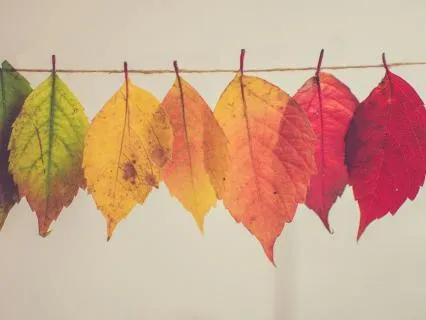 Opening My Heart To Change