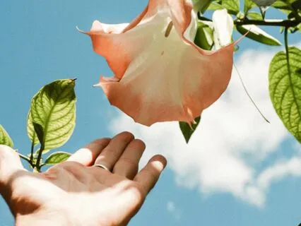 Opening Space For Detachment