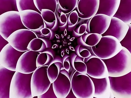 Opening The Crown Sahasrara 963 Hz