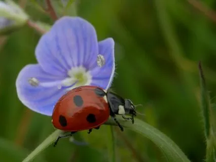 Opening The Door To Ideas