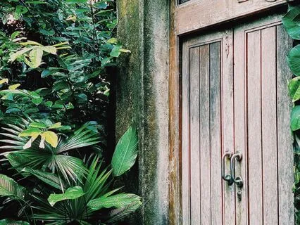 Opening The Door To Your Heart