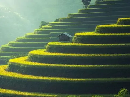 Opening The Door To Your Heart