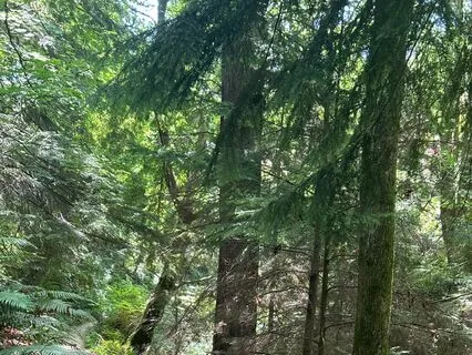 Opening The Heart And Releasing Blocked Energy