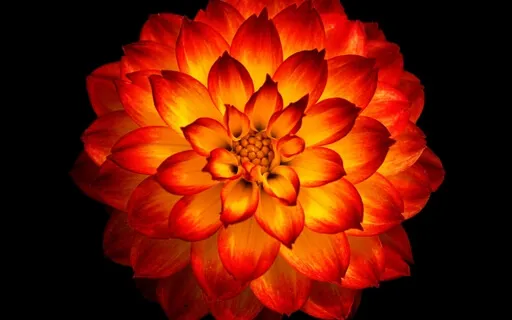 Opening The Heart Practice