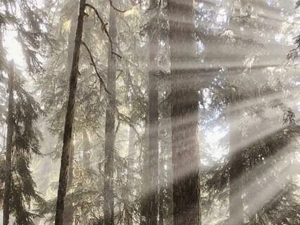 Opening the Heart to Joy