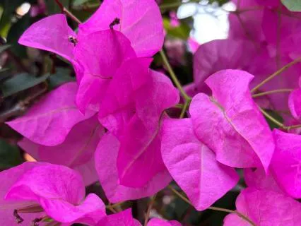 Opening The Inner Door To Abundance