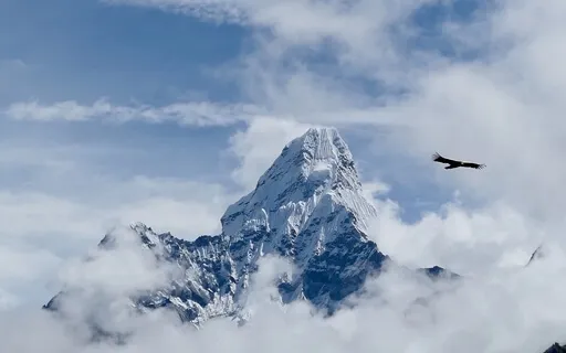 Opening The Medicine Wheel Journey & Vision Quest