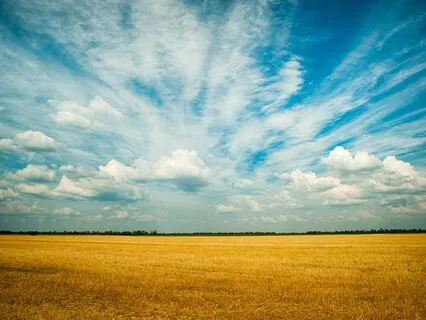 Opening The Mind To Stillness