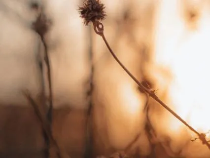 Opening The Soul (Guitar & Piano)