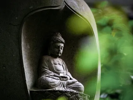 Opening The Three Brains: Head, Heart, & Hara