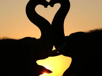 Opening The Wisdom Of Your Heart